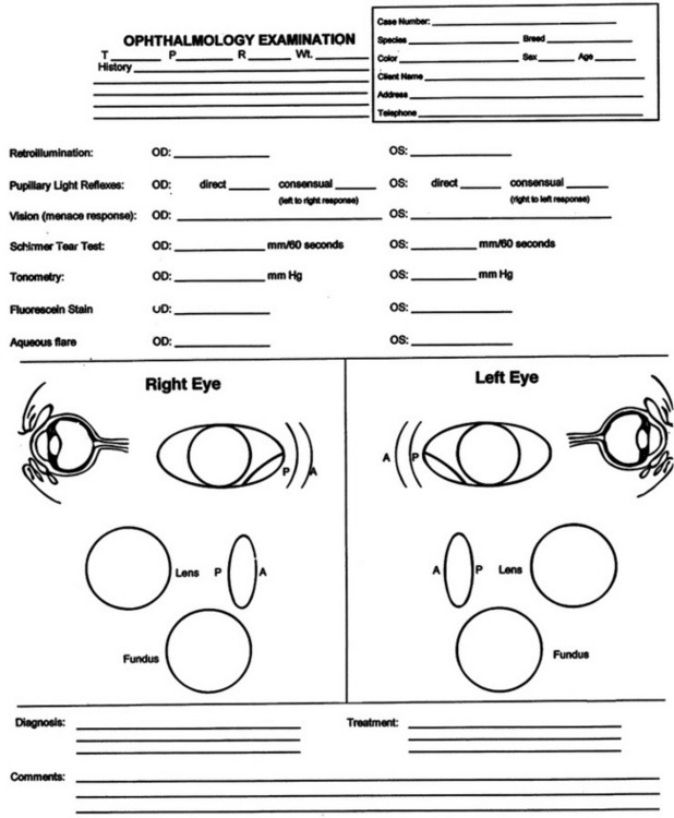 surgical-treatment-of-ocular-disorders-lab-7